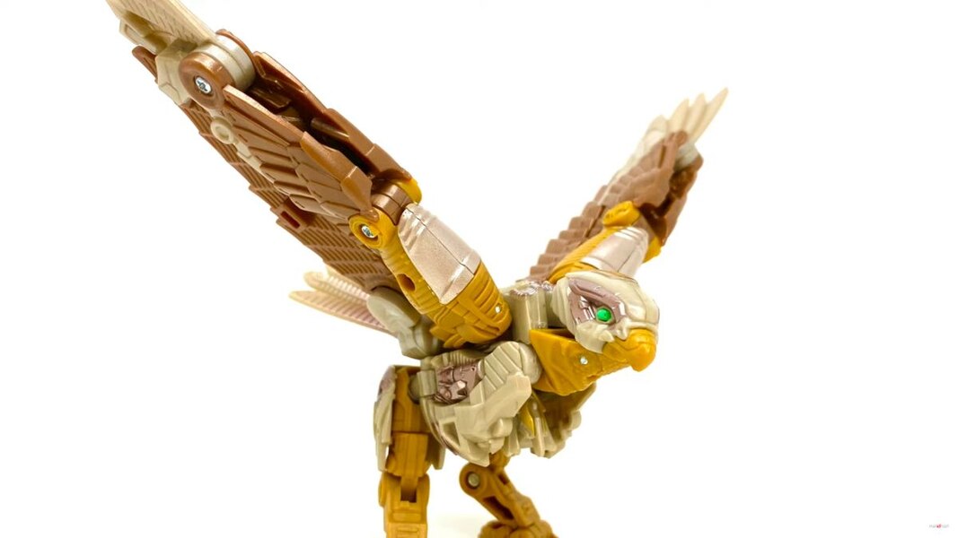 Image Of Rise Of The Beasts Studio Series Airazor Toy  (1 of 55)